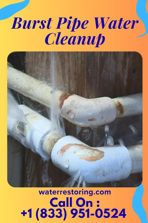 Burst Pipe Water Cleanup in Elm City, NC