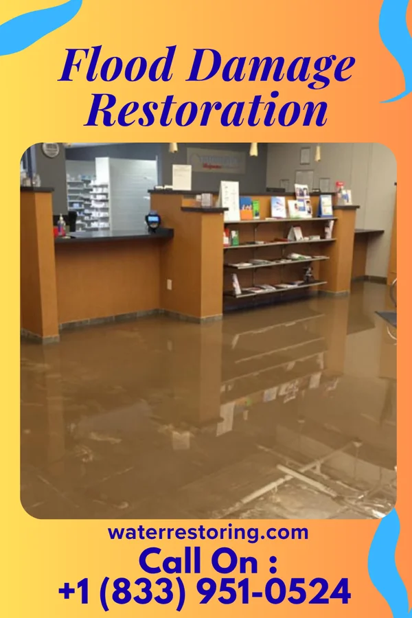 Flood Damage Restoration in Elm City, NC
