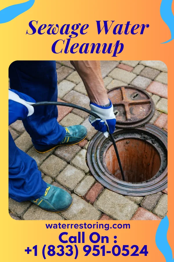 Sewage Water Cleanup in Elm City, NC