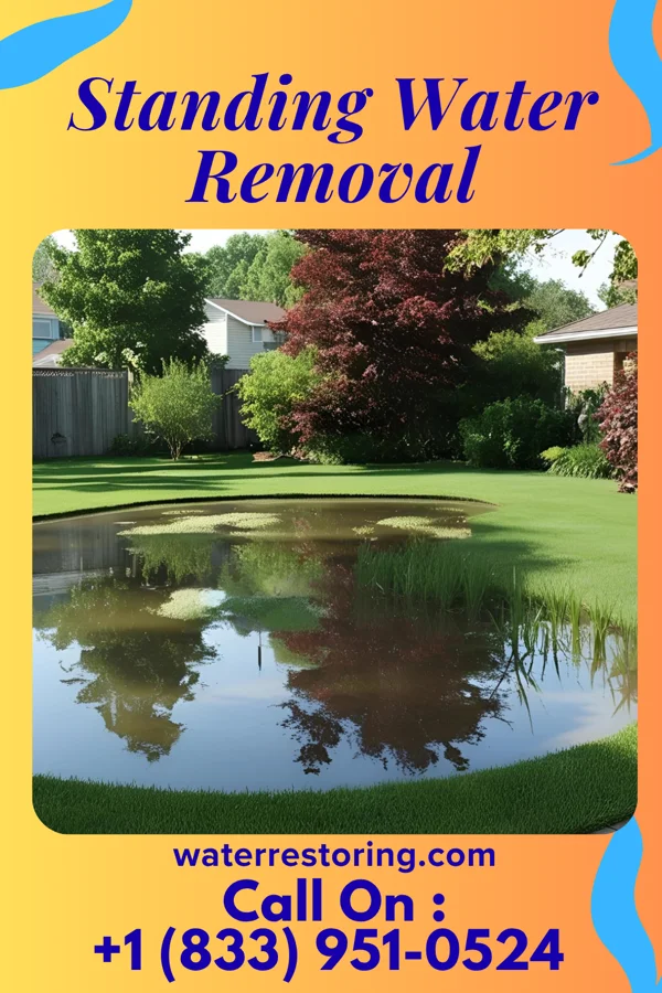 Standing Water Removal in Elm City, NC